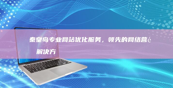 秦皇岛专业网站优化服务，领先的网络营销解决方案公司